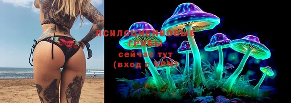 МДПВ Бронницы