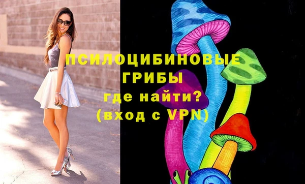 МДПВ Бронницы